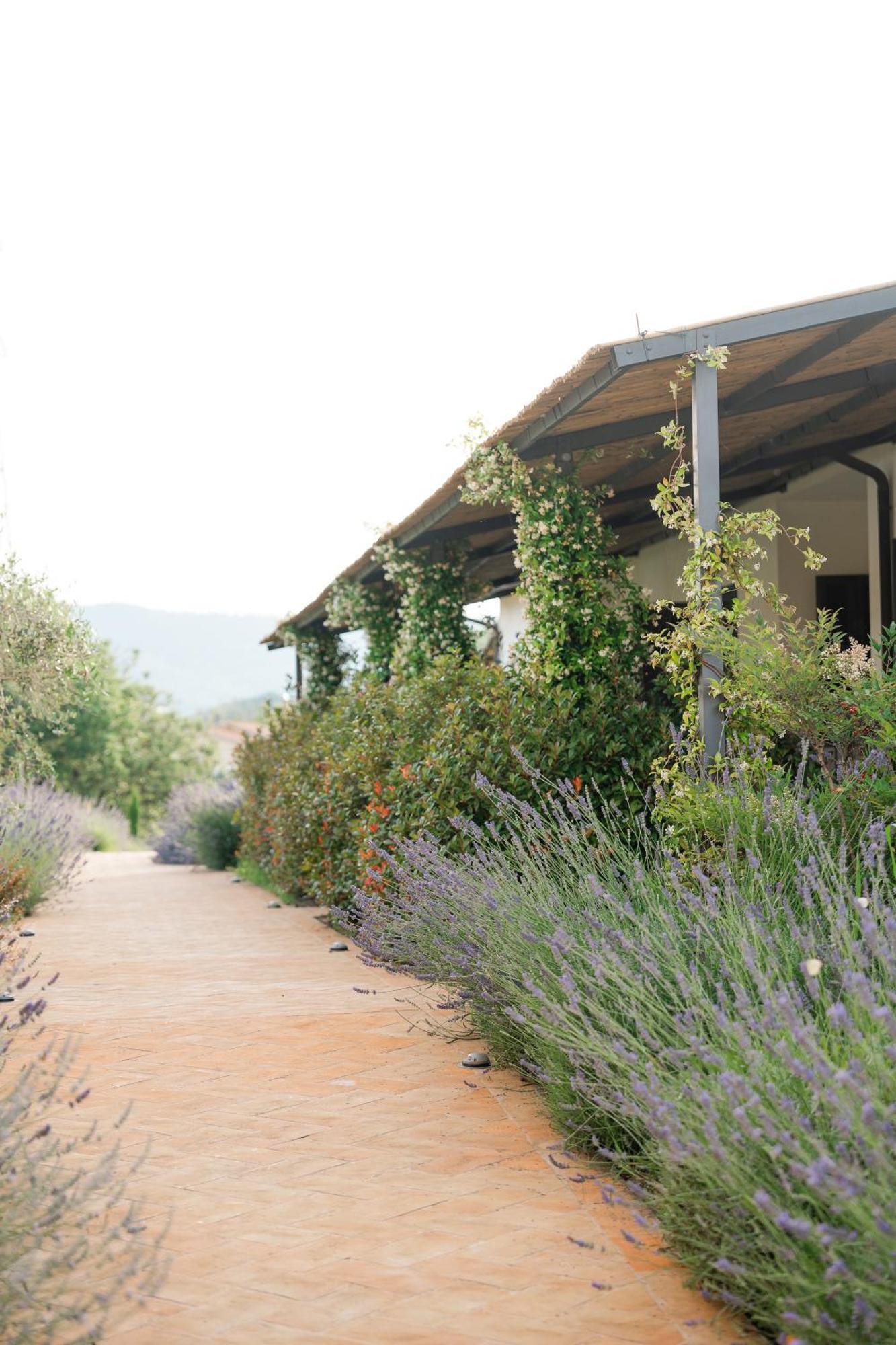 Hortus Natural Living Тоди Экстерьер фото